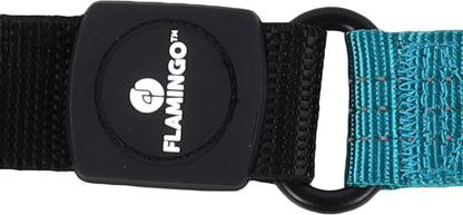 Leine Zorba – Komfort & Sicherheit für jeden Spaziergang