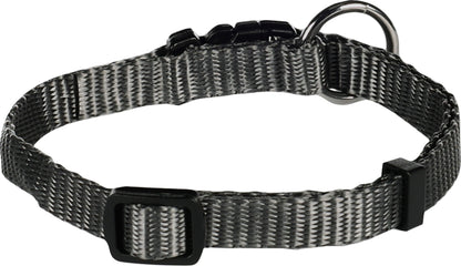 Halsband Ziggi – Perfekte Balance aus Eleganz, Schutz & Tragekomfort!