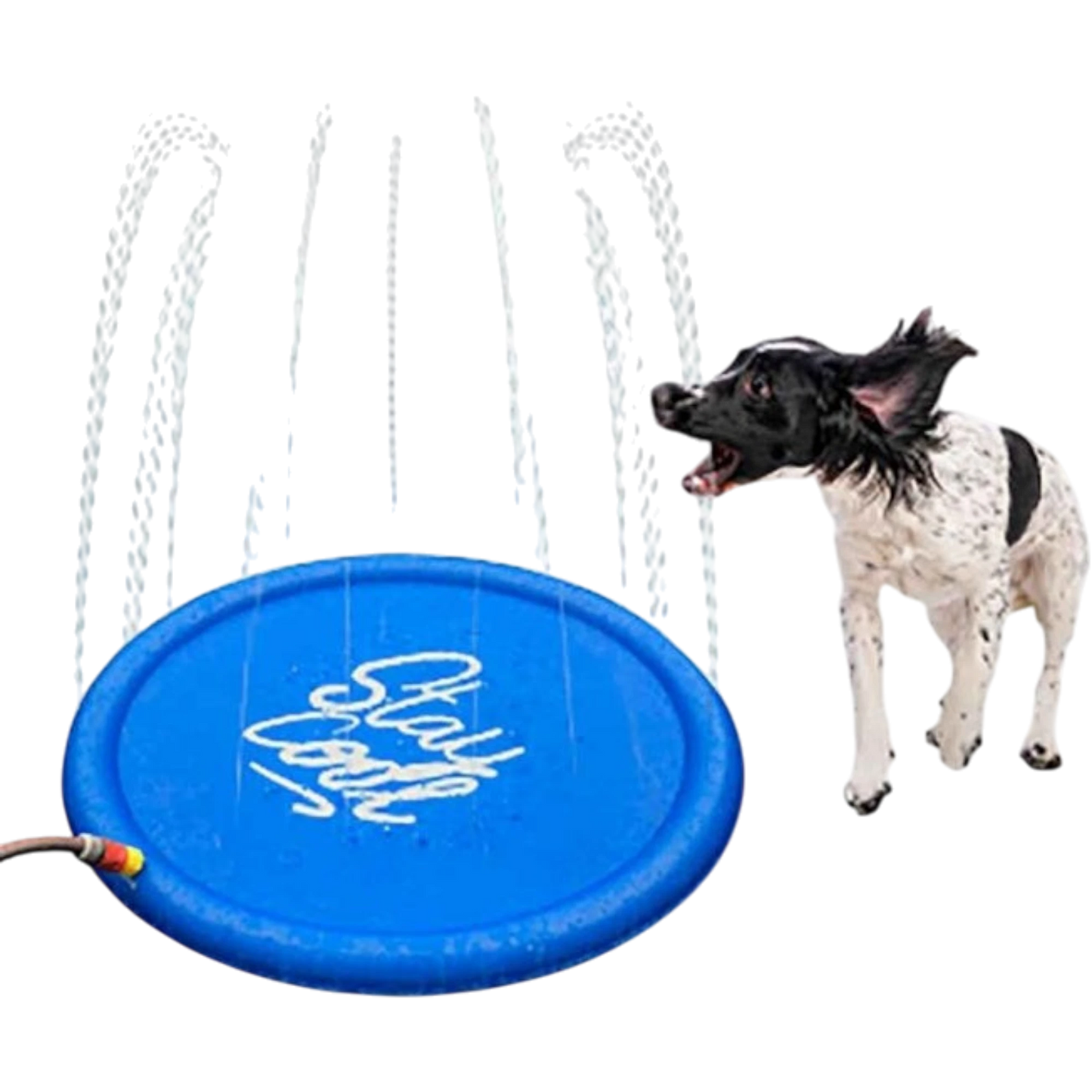 Karlie Sprinklermatte Splashy – Die spritzige Abkühlung für heiße Hundetage
