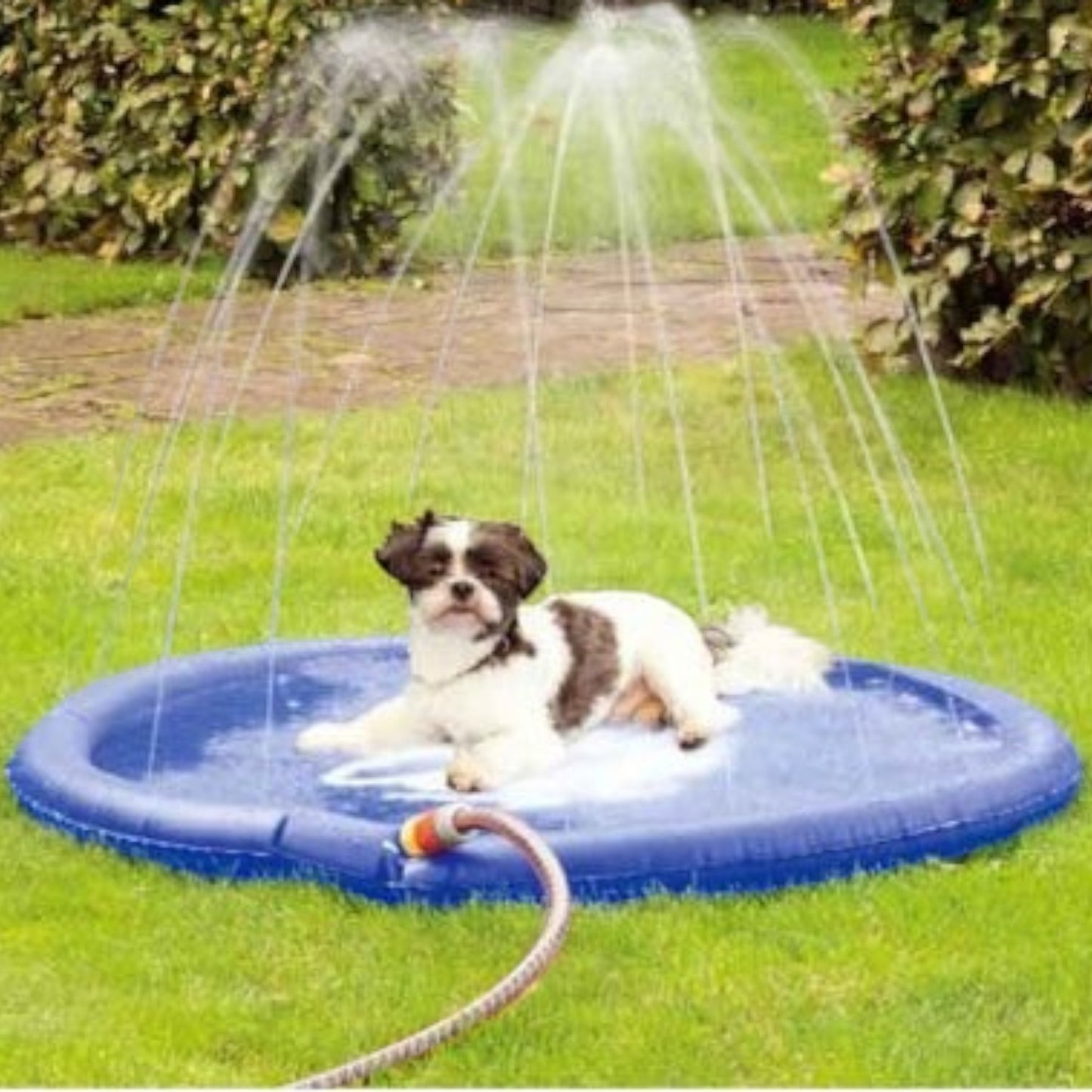 Karlie Sprinklermatte Splashy – Die spritzige Abkühlung für heiße Hundetage