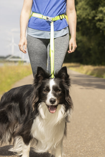 Joggingleine mit Hüftgurt Stoffel – Sicherheit & Komfort für aktive Hundeliebhaber!