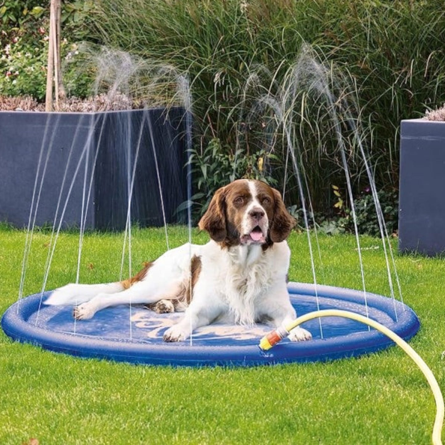 Karlie Sprinklermatte Splashy – Die spritzige Abkühlung für heiße Hundetage