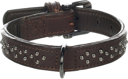 Halsband Denver – Robustes Design mit stylischen Nieten