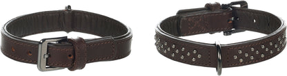Halsband Denver – Robustes Design mit stylischen Nieten