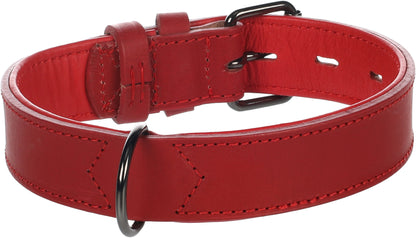 Halsband Denver – Extra Breit, Gepolstert & Stilvoll für maximalen Komfort