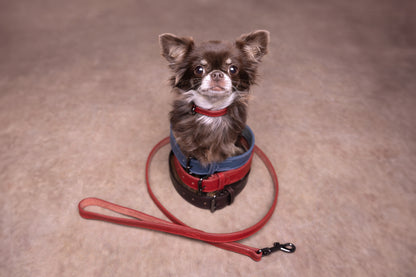 Leine Denver – Stilvolle & Robuste Lederleine für Ihren Hund