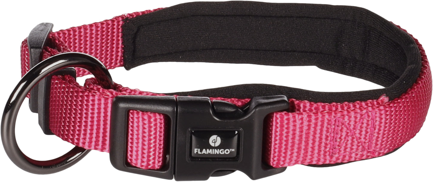 Abbi Hundehalsband – Stilvoll, Komfortabel & Funktional
