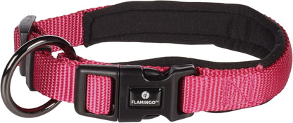 Abbi Hundehalsband – Stilvoll, Komfortabel & Funktional