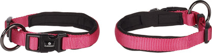 Abbi Hundehalsband – Stilvoll, Komfortabel & Funktional