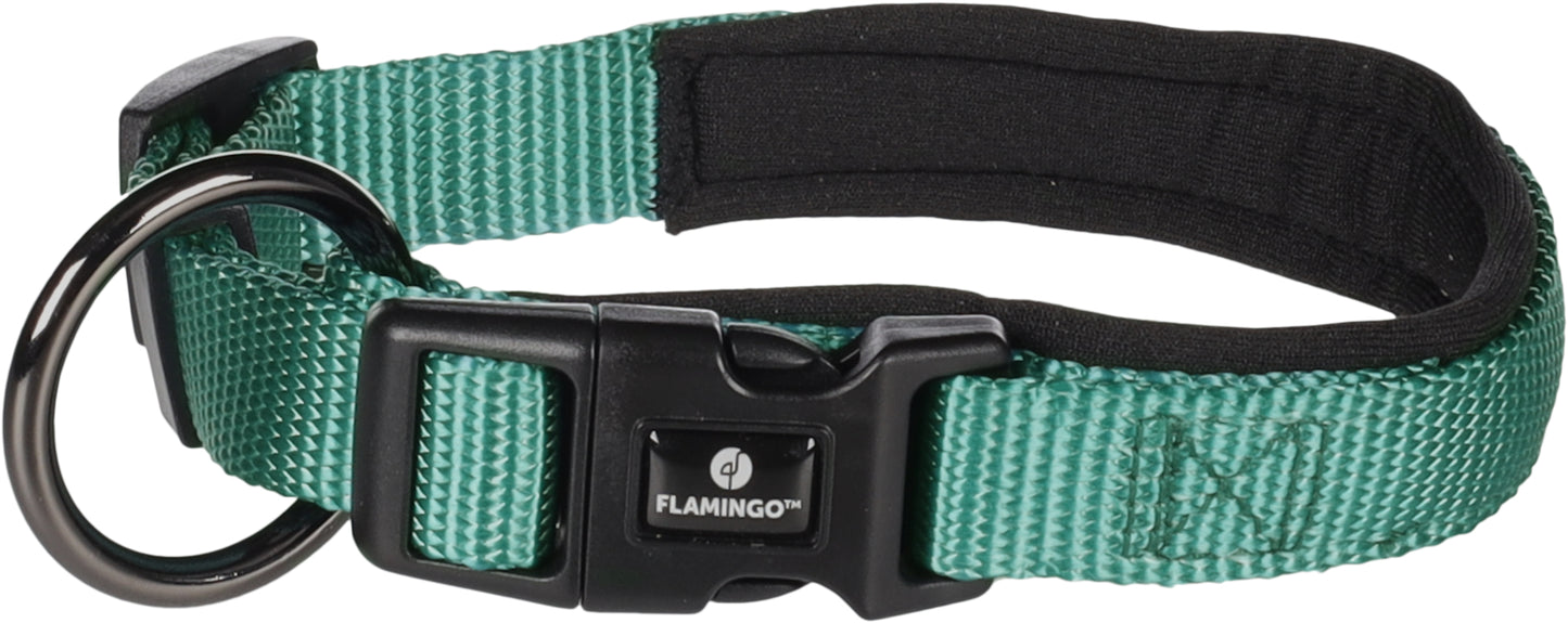 Abbi Hundehalsband – Stilvoll, Komfortabel & Funktional