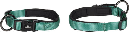 Abbi Hundehalsband – Stilvoll, Komfortabel & Funktional