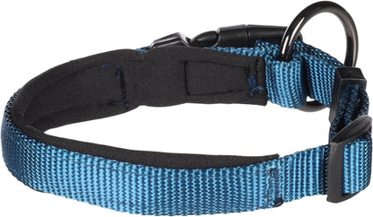 Abbi Hundehalsband – Stilvoll, Komfortabel & Funktional