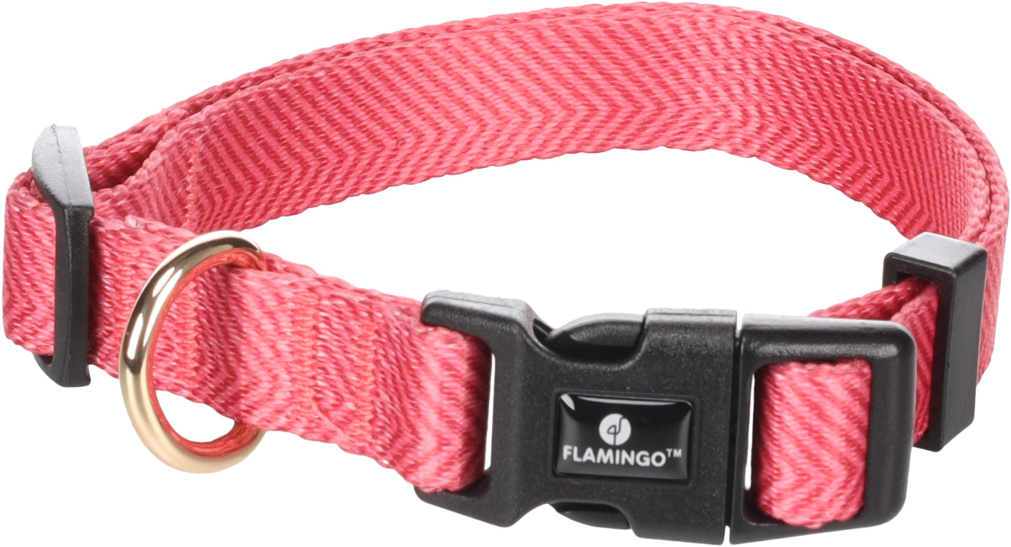 Halsband Noekie – Strapazierfähig, Komfortabel & Stilvoll