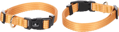 Halsband Noekie – Strapazierfähig, Komfortabel & Stilvoll