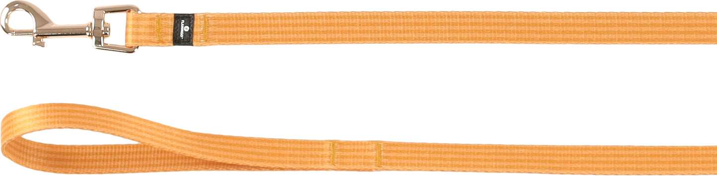 Leine Noekie – Stilvoll, Robust & Zuverlässig