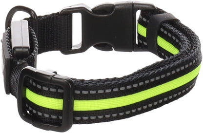 Halsband Flitzy – Für maximale Sichtbarkeit und Sicherheit bei Nacht!