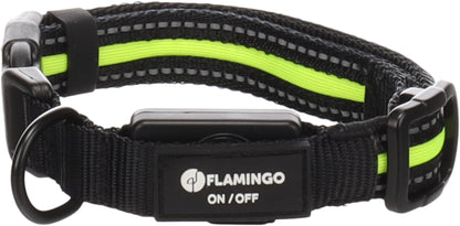 Halsband Flitzy – Für maximale Sichtbarkeit und Sicherheit bei Nacht!