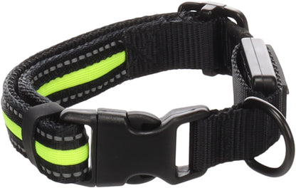 Halsband Flitzy – Für maximale Sichtbarkeit und Sicherheit bei Nacht!