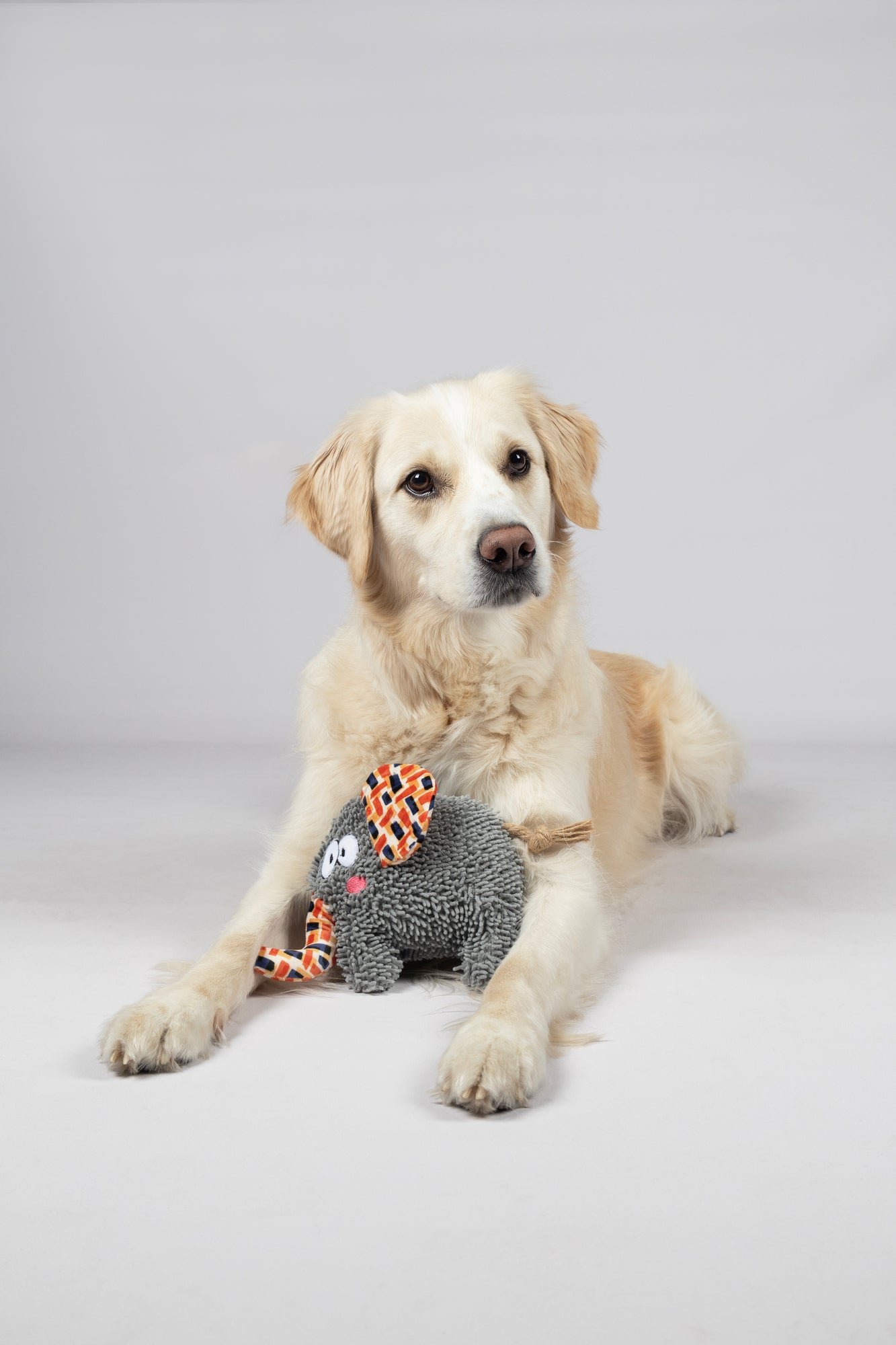 Kuschelige Spielgefährten für deinen Hund!