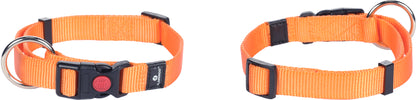 Halsband Ziggi – Perfekte Balance aus Eleganz, Schutz & Tragekomfort!