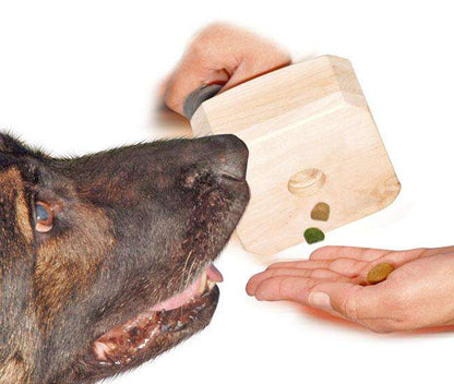 Motiviert Apportieren – mit Belohnung statt Beuteinstinkt