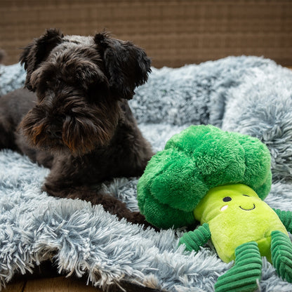 Plüschspielzeug „Brokkoli“ – Spielspaß mit Quietscher für deinen Hund