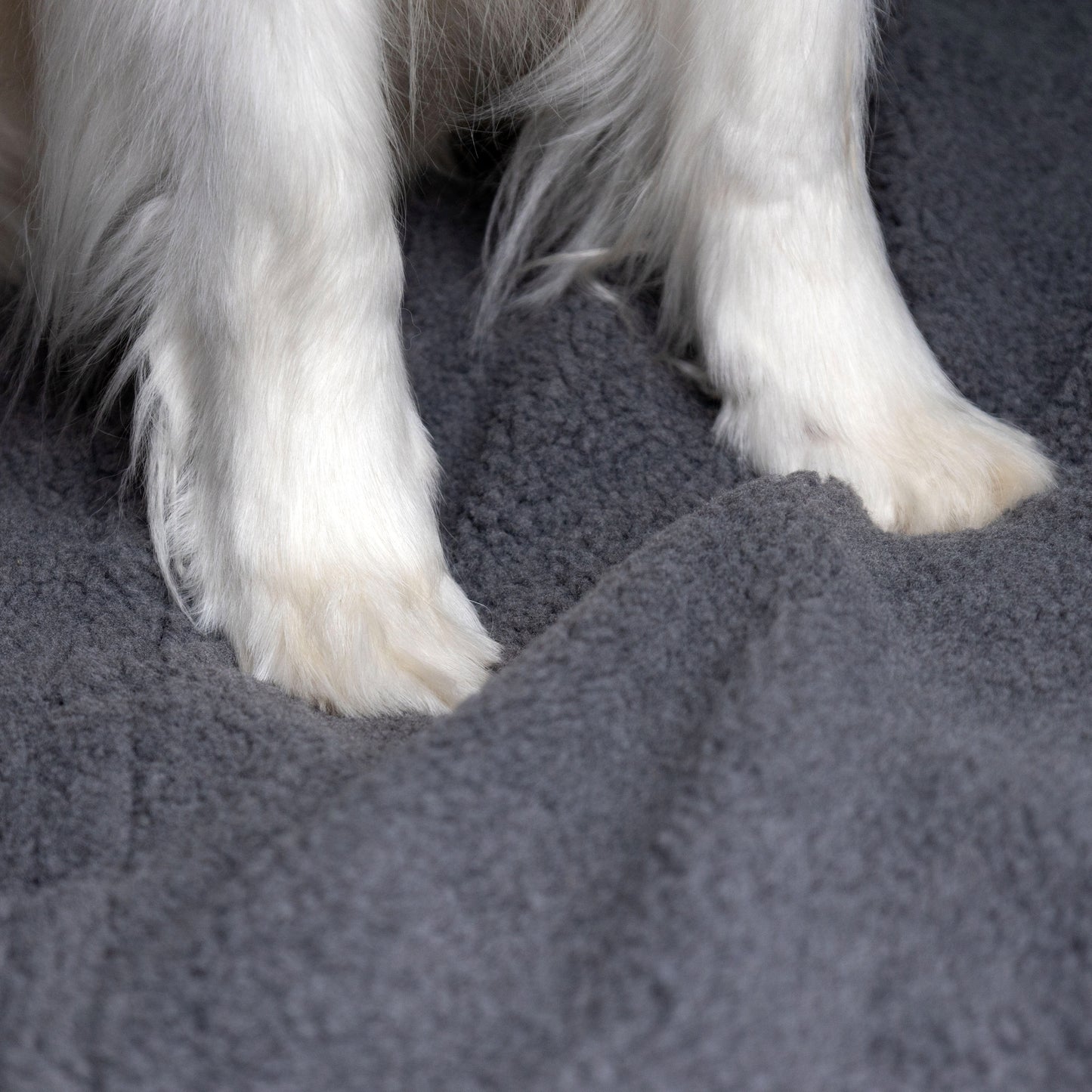 Paco Autoschondecke – Schutz & Komfort für Ihre Autofahrten!