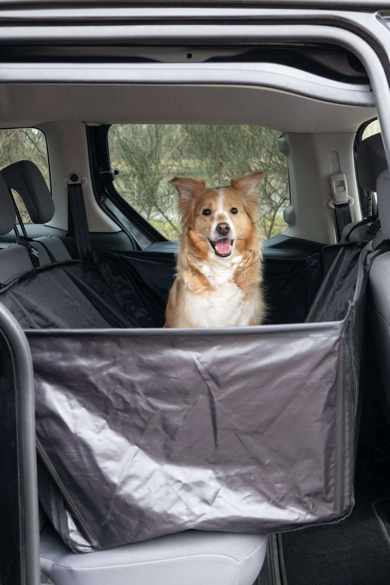 Logi Autoschondecke – Schutz & Komfort für jede Autofahrt!