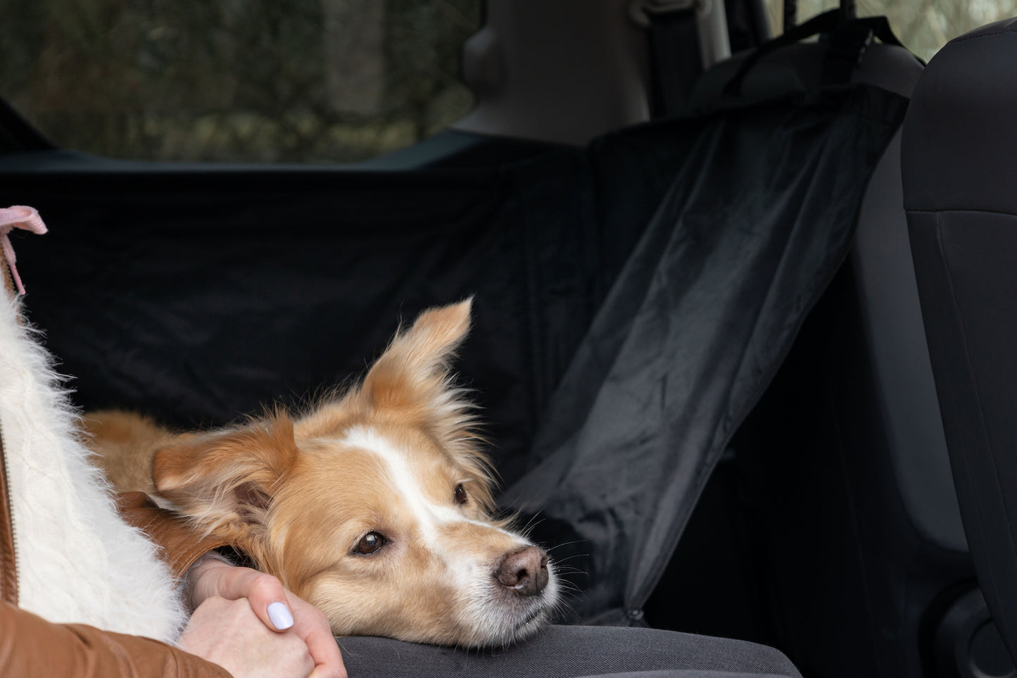 Logi Autoschondecke – Schutz & Komfort für jede Autofahrt!