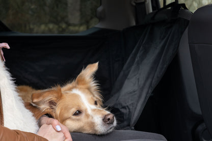 Logi Autoschondecke – Schutz & Komfort für jede Autofahrt!