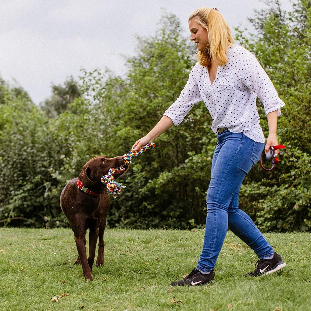 Spielseil doppelt – Robustes Knotenseil für Zerr- & Apportierspiele
