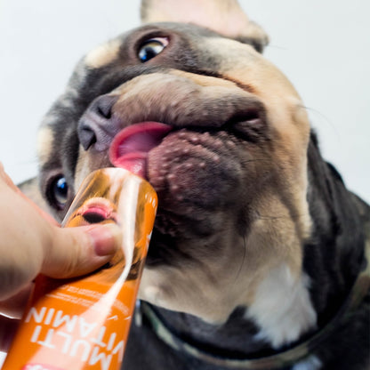 Multi Vitamin Hund – Für mehr Vitalität & Wohlbefinden