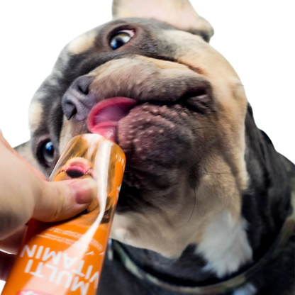 Multi Vitamin Hund – Für mehr Vitalität & Wohlbefinden