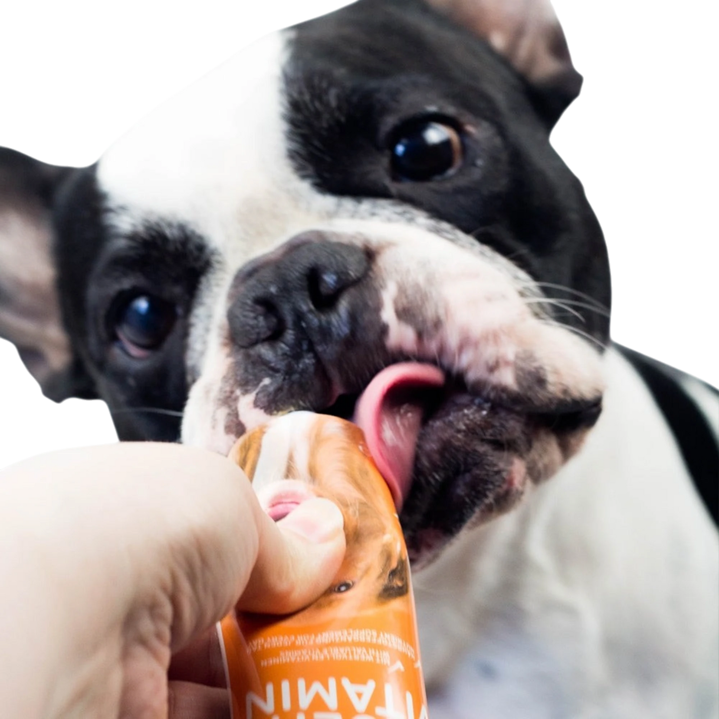 Multi Vitamin Hund – Für mehr Vitalität & Wohlbefinden