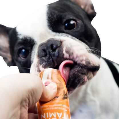 Multi Vitamin Hund – Für mehr Vitalität & Wohlbefinden