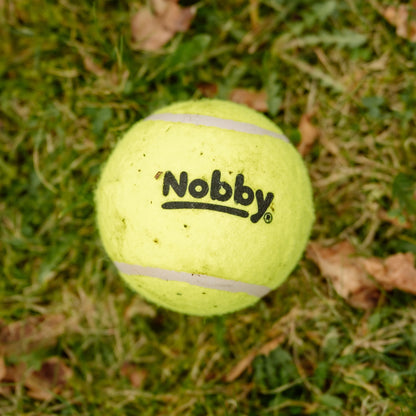 Tennisbälle mit Squeaker – Apportierspaß mit Quietscheffekt