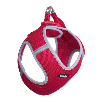 Mesh Geschirr "DELIGHT" – Leicht, bequem & perfekt für warme Tage 🐶☀️