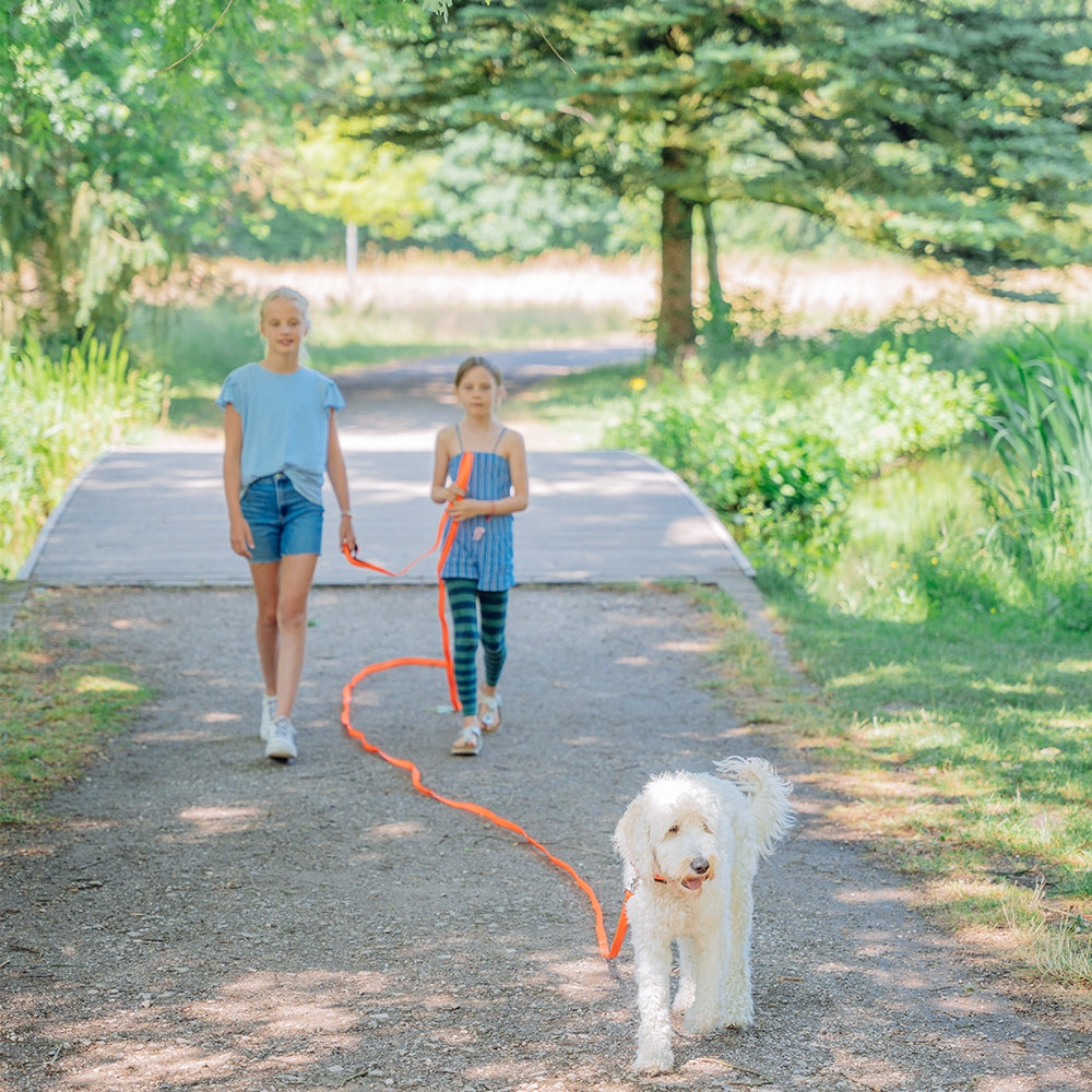 Schleppleine „Cover“ – Maximale Bewegungsfreiheit & Kontrolle für deinen Hund