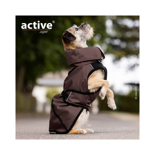 Active Cape WIND & RAIN Light Mini – Stylischer Wetterschutz für aktive Hunde