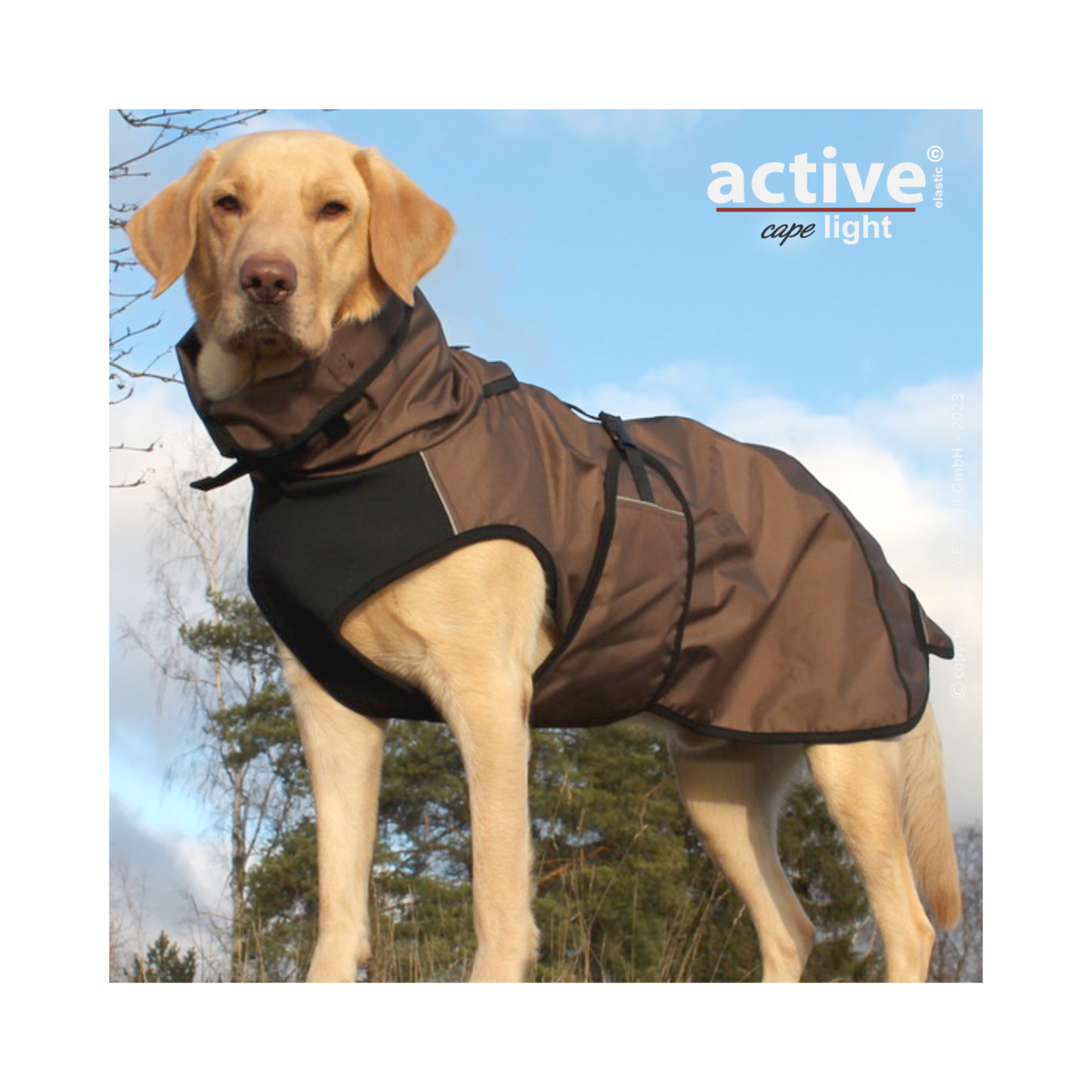 Active Cape WIND & RAIN Light – Stylischer Wetterschutz für aktive Hunde
