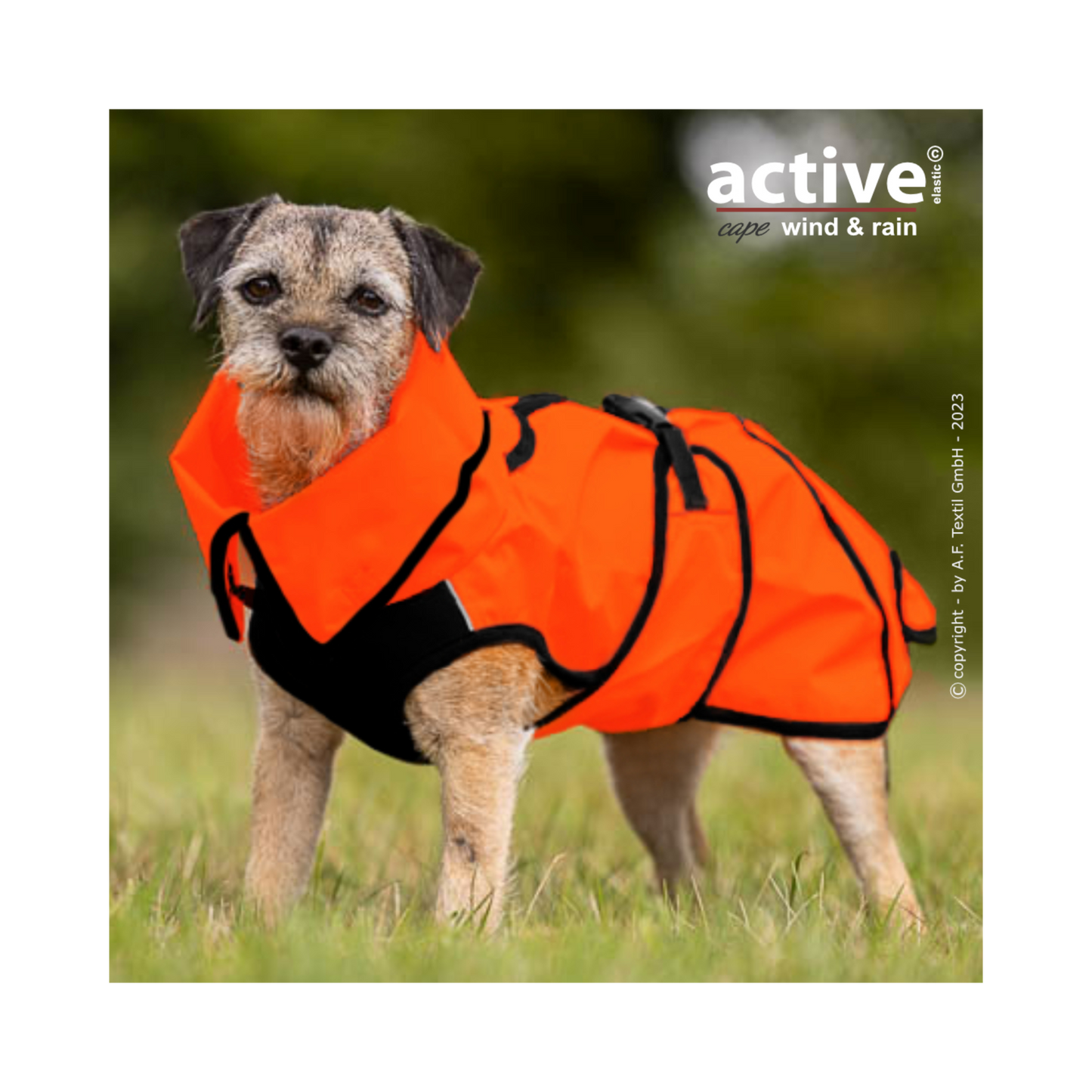 Active Cape WIND & RAIN Mini – Stylischer Wetterschutz für aktive Hunde