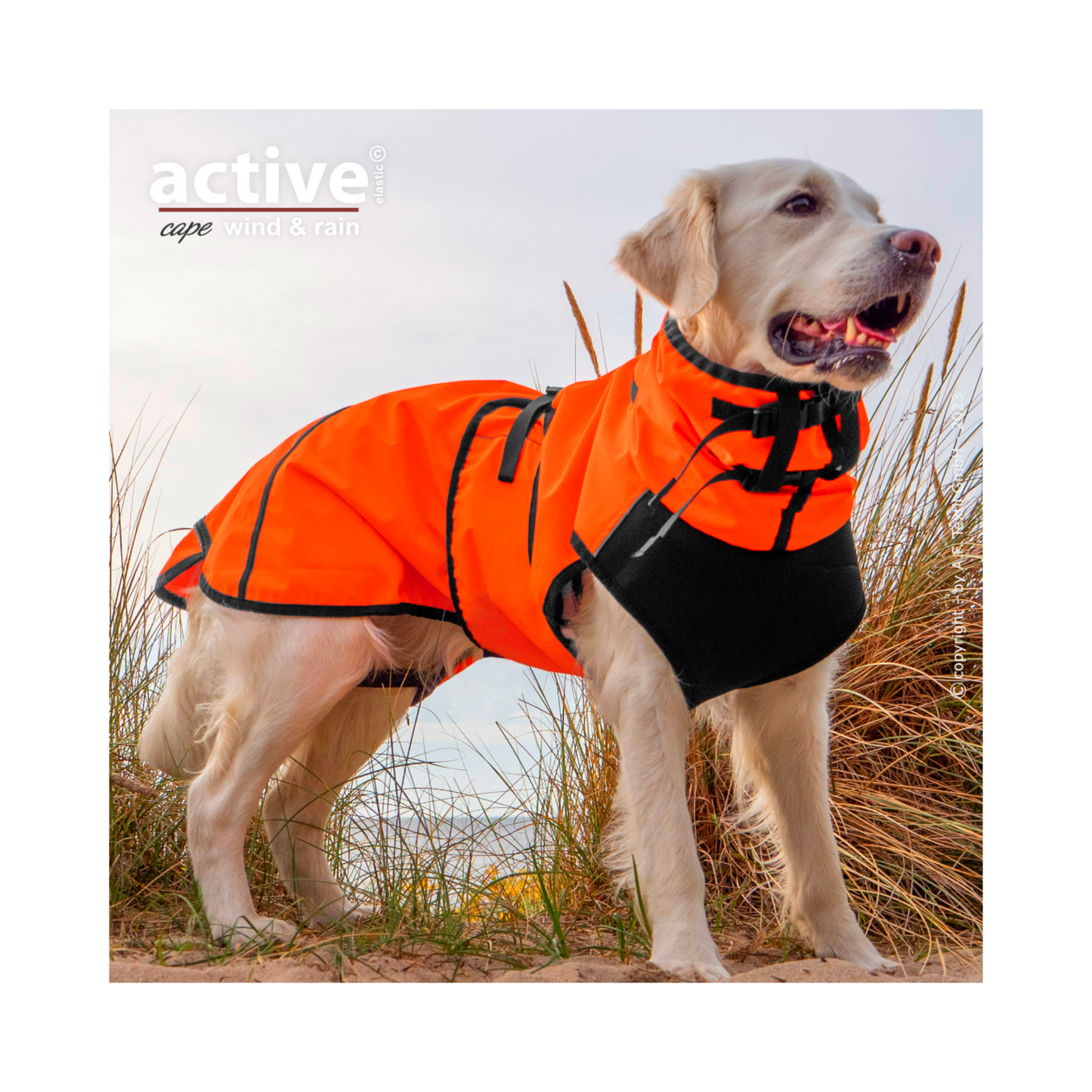 Active Cape WIND & RAIN – Stylischer Wetterschutz für aktive Hunde