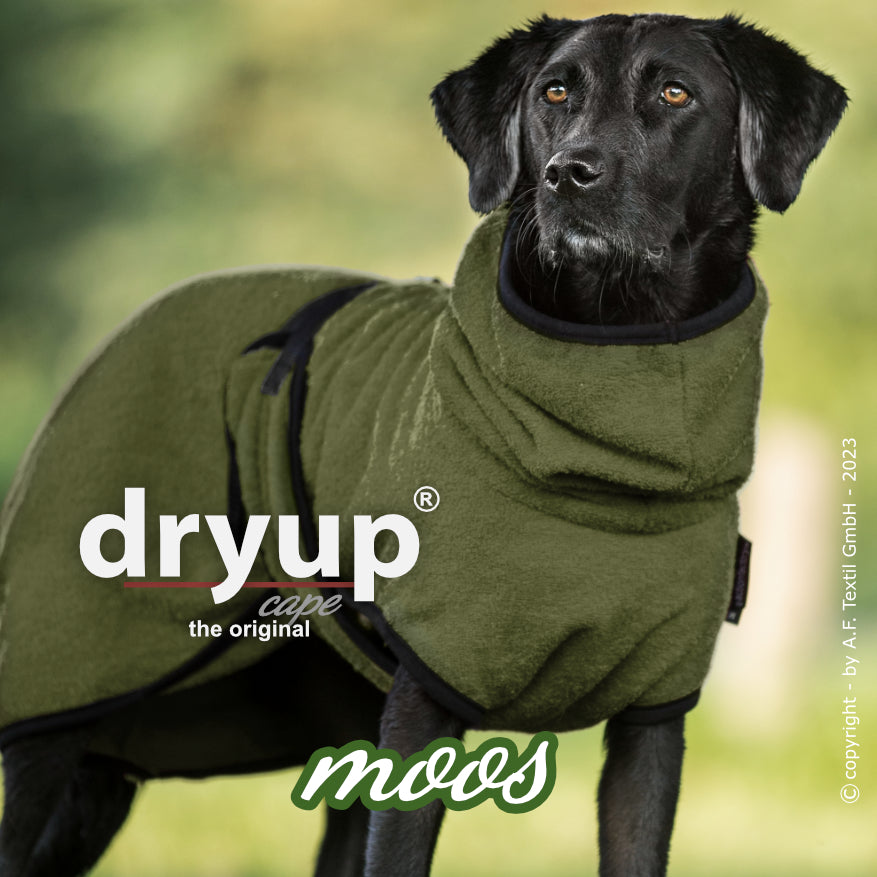 DRYUP CAPE Standard – Der hochwertige Hundebademantel aus Baumwolle L - XXL