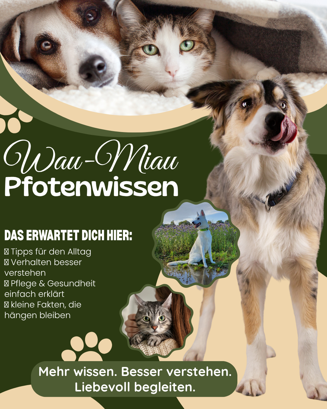 Wau-Miau Pfotenwissen