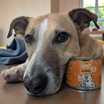 Betty’s LHK - Ente