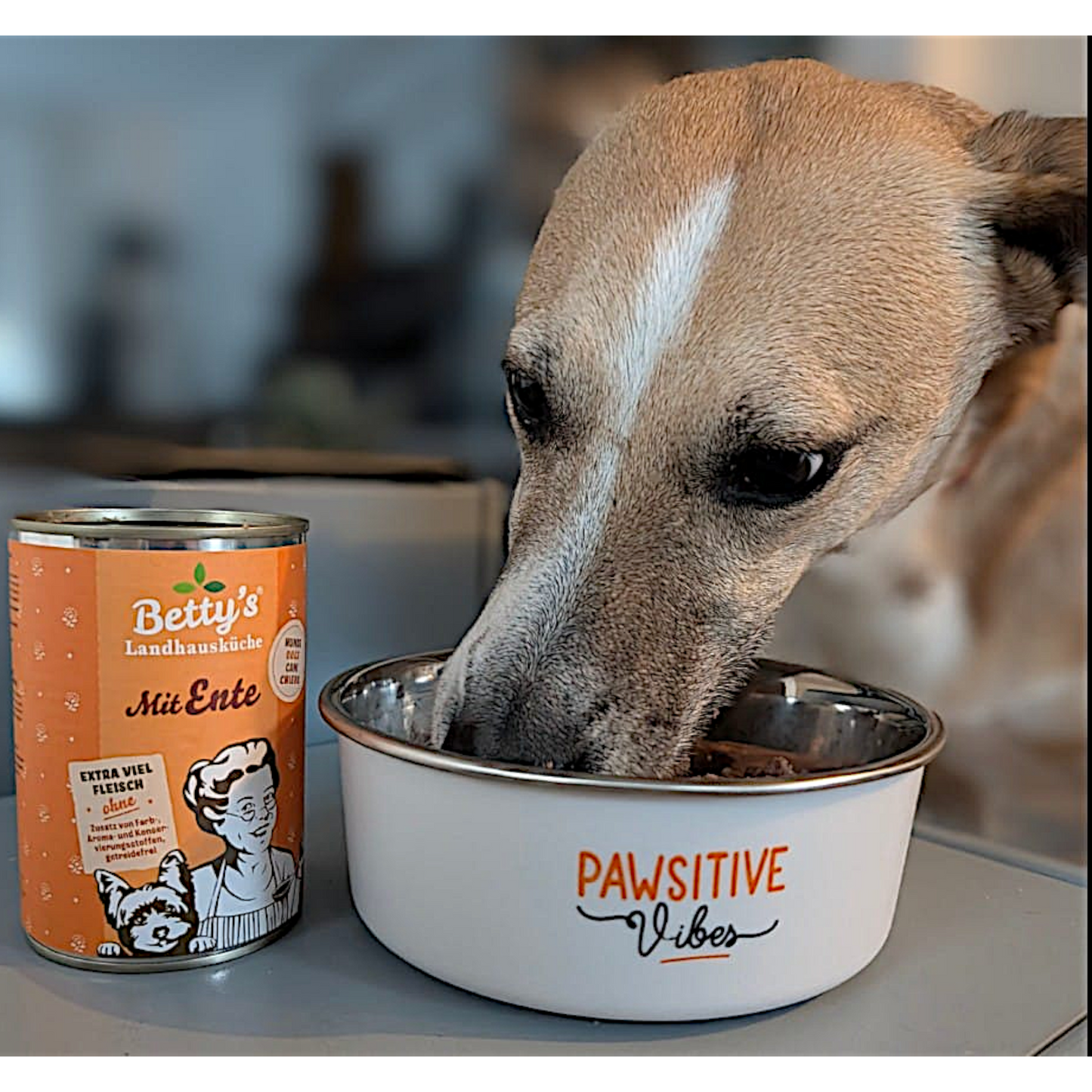 Betty’s LHK - Ente