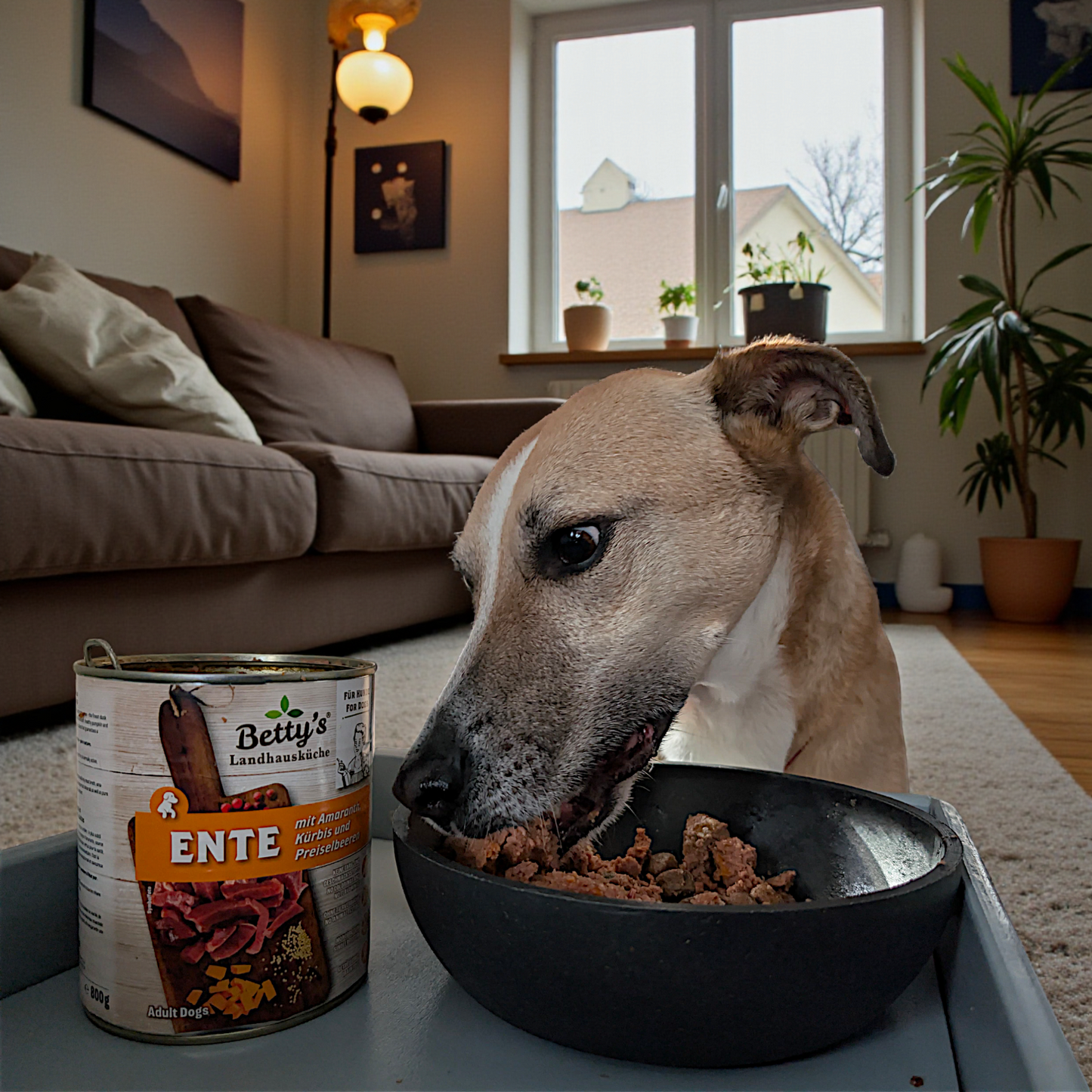 Betty’s LHK Dog - Ente mit Amaranth, Kürbis & Preiselbeere