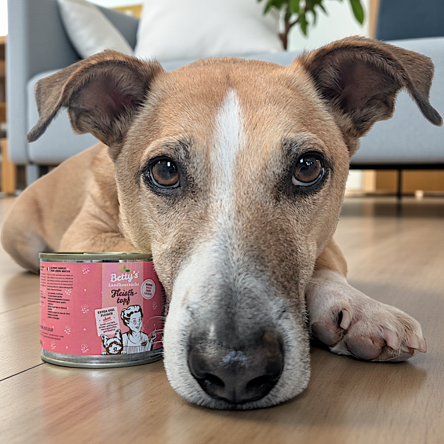 Betty’s LHK - Fleischtopf