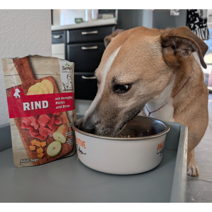 Betty´s LHK - Frischebeutel mit Rind & Kartoffel