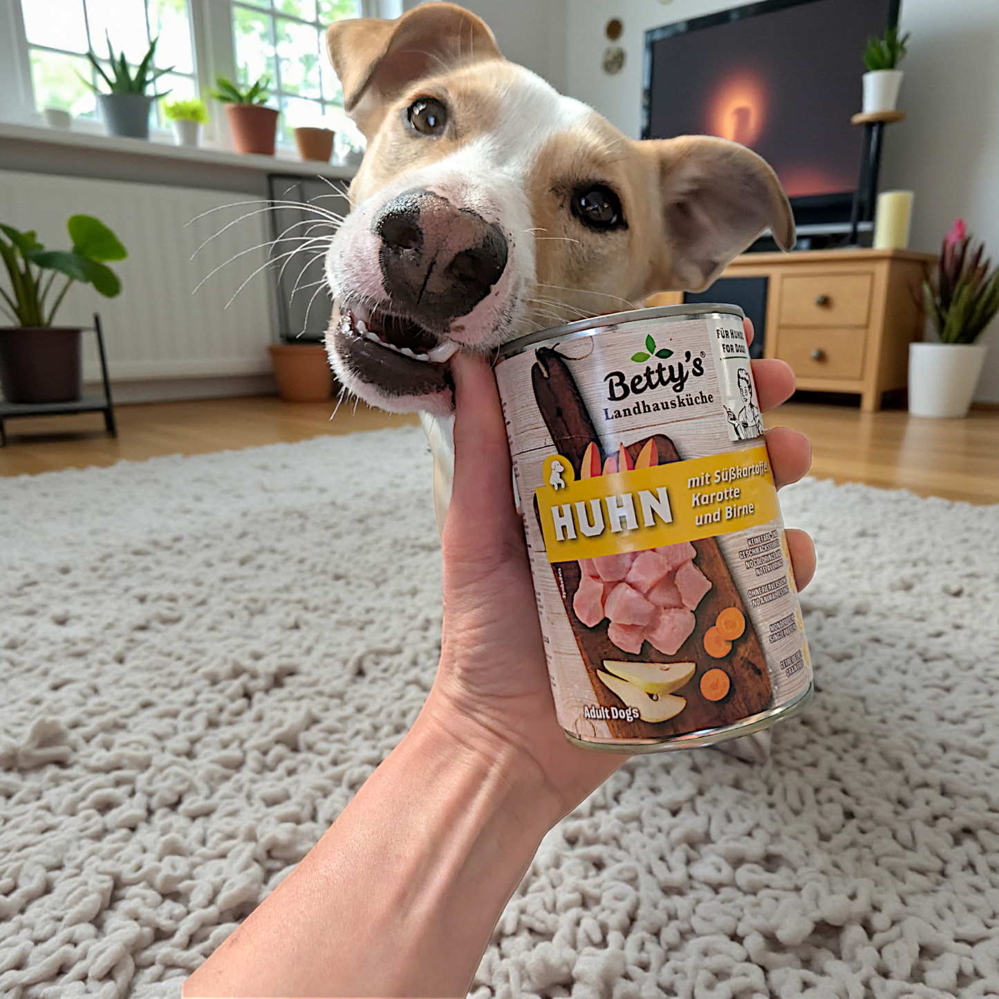 Betty’s LHK Dog – Huhn mit Süßkartoffel, Karotte & Birne